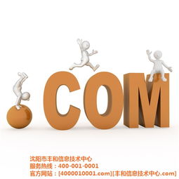 豐和信息技術(shù)中心 遼源市網(wǎng)絡(luò)推廣與高清圖片經(jīng)濟信息咨詢的專業(yè)引領(lǐng)者