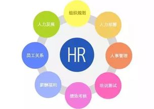 探索人力資源管理新趨勢(shì) 企業(yè)管理咨詢的實(shí)踐與挑戰(zhàn)